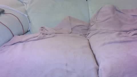 chicotanguita43 online show from February 2026 11:42:01 AM