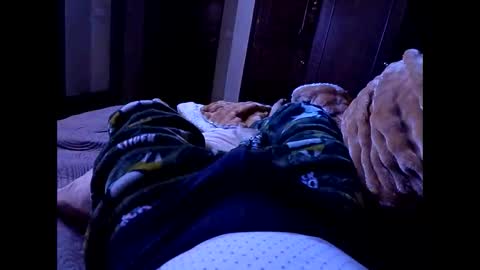 Snapshot of chikis230588 chatting on February 2026 09:35:02 AM chikis230588 online show from February 2026 09:35:02 AM