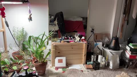 Snapshot of chiloschista chatting on February 2025 11:36:02 PM judith online show from February 2025 11:36:02 PM