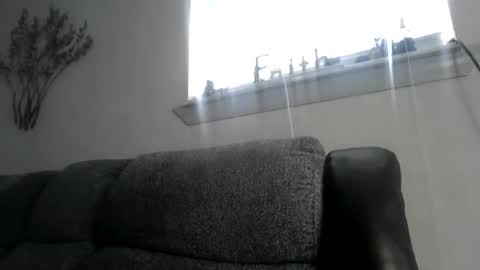 CHINO online show from February 2025 04:21:02 PM