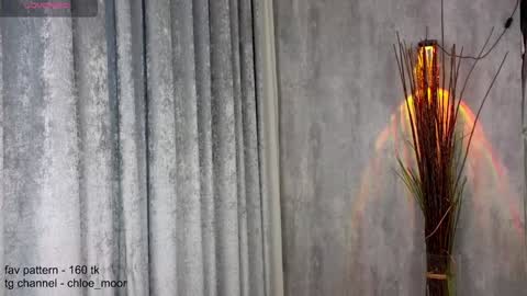 Snapshot of chloe_moor chatting on January 2025 04:49:01 AM Chloe online show from January 2025 04:49:01 AM