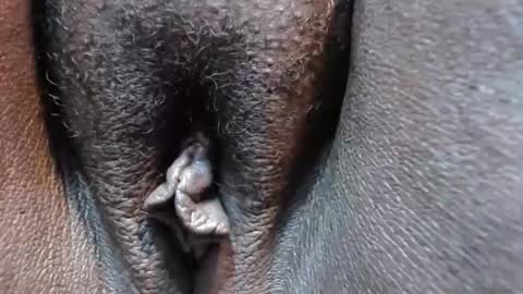 chocolatabig online show from November 2025 06:28:02 PM