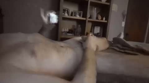 Snapshot of chrisw8121 chatting on February 2026 06:40:02 AM chrisw8121 online show from February 2026 06:40:02 AM