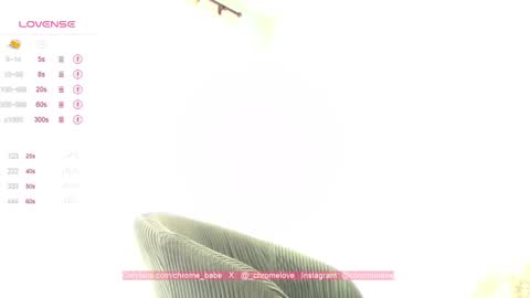 Snapshot of chromebabe_ chatting on January 2025 04:08:01 PM Gwendy Fox online show from January 2025 04:08:01 PM