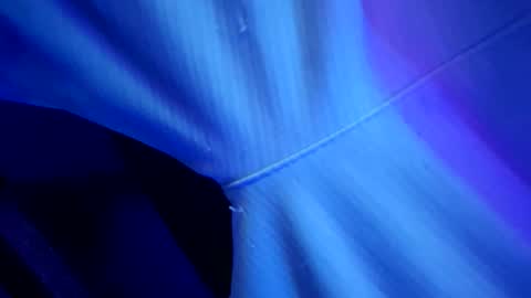 chronicvibez online show from March 2026 12:56:02 AM