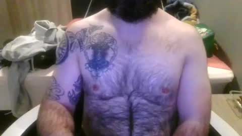 chub bear 99 online show from June 2026 01:17:02 AM
