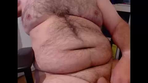 Chubby Bear BY online show from May 2026 07:27:02 AM
