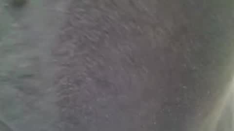 chubbycub14 online show from February 2026 03:38:01 PM