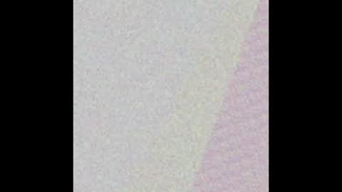 ciaswonderland online show from February 2026 06:31:01 AM