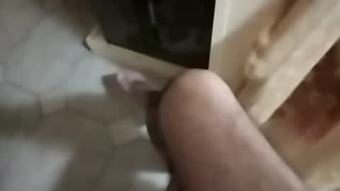 ciccilli online show from September 2025 10:15:02 PM