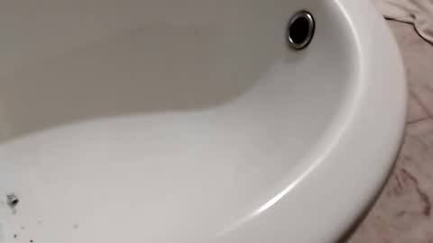 ciccilli online show from October 2025 11:20:02 PM