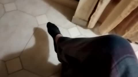 ciccilli online show from October 2025 10:12:01 PM