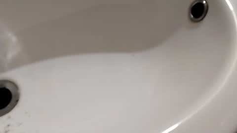 ciccilli online show from November 2025 09:59:02 PM