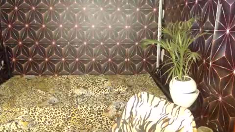 Snapshot of cindyts09 chatting on January 2025 03:35:01 AM Cindy online show from January 2025 03:35:01 AM