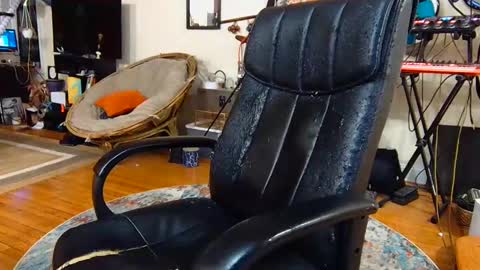 CirdanBiGuy online show from February 2025 03:55:02 AM