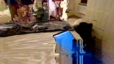 classicwizard420 online show from February 2026 09:31:02 AM