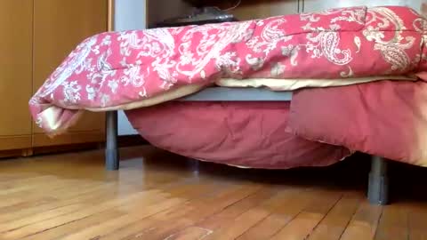 Snapshot of claudi779 chatting on December 2024 03:24:02 PM claudi779 online show from December 2024 03:24:02 PM