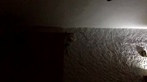 Snapshot of claudi779 chatting on January 2026 08:03:01 PM claudi779 online show from January 2026 08:03:01 PM