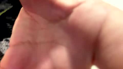 claudiolicro online show from April 2026 08:25:02 PM