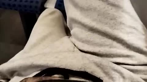 Cocolino  online show from October 2025 05:59:01 PM