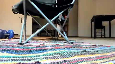 Snapshot of cocknholestar chatting on January 2025 04:22:02 AM Gorgeous online show from January 2025 04:22:02 AM