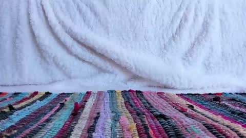 Snapshot of cocknholestar chatting on February 2025 08:25:01 PM Gorgeous online show from February 2025 08:25:01 PM