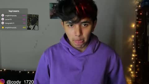 Snapshot of cody_evanss chatting on January 2025 01:08:01 AM cody online show from January 2025 01:08:01 AM