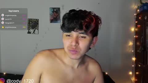 Snapshot of cody_evanss chatting on January 2025 04:08:02 AM cody online show from January 2025 04:08:02 AM