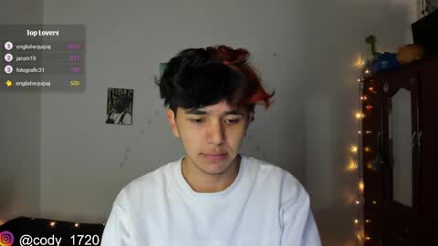 Snapshot of cody_evanss chatting on January 2025 02:15:01 PM cody online show from January 2025 02:15:01 PM