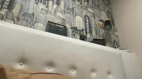 Snapshot of colambus555 chatting on December 2025 07:04:02 AM colambus555 online show from December 2025 07:04:02 AM