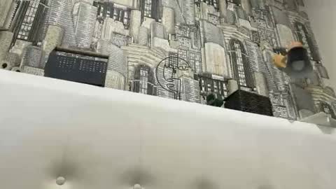 colambus83 online show from March 2026 02:21:02 PM