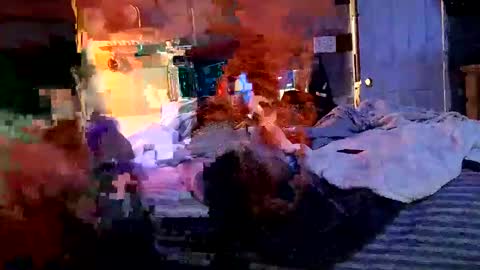 colebeasta online show from January 2025 08:36:01 AM