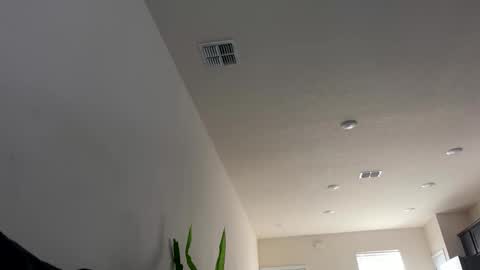 Adonis of online show from May 2026 02:11:02 PM