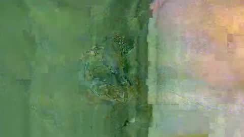 Snapshot of colourlight chatting on November 2025 01:27:02 AM colourlight online show from November 2025 01:27:02 AM