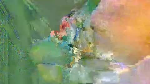 Snapshot of colourlight chatting on November 2025 12:10:02 AM colourlight online show from November 2025 12:10:02 AM