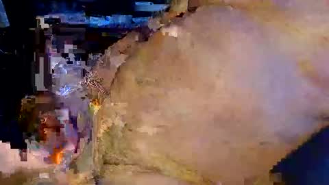 colourlight online show from March 2026 04:55:01 PM