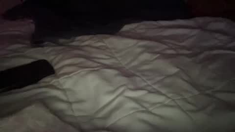 concretecarpenter online show from November 2025 08:12:01 AM