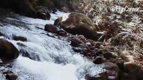 Snapshot of connorflyn chatting on December 2024 08:47:01 AM Connor Flyn online show from December 2024 08:47:01 AM