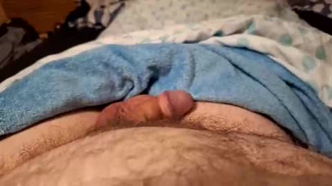 Harry 13 online show from February 2026 06:36:02 AM