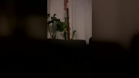 Snapshot of coopercdate chatting on July 2026 12:30:02 AM coopercdate online show from July 2026 12:30:02 AM