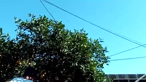 Snapshot of corpusrichard78 chatting on March 2025 06:55:01 PM corpusrichard78 online show from March 2025 06:55:01 PM