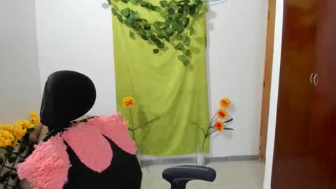 Snapshot of corzoethan chatting on December 2024 04:30:02 PM Ethan online show from December 2024 04:30:02 PM