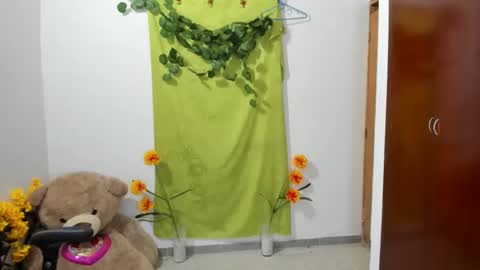 Snapshot of corzoethan chatting on January 2025 02:31:02 AM Ethan online show from January 2025 02:31:02 AM