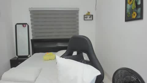 Snapshot of corzoethan chatting on November 2025 11:48:01 PM Ethan online show from November 2025 11:48:01 PM