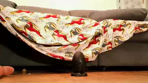 Snapshot of cossy69 chatting on September 2025 04:33:02 PM Andy sissy room online show from September 2025 04:33:02 PM