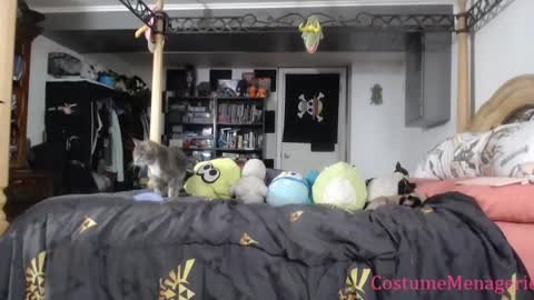 Amethyst Cox online show from March 2026 10:04:02 PM