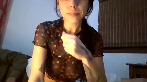 Snapshot of couplebra11 chatting on May 2026 04:43:02 AM BelloyBella online show from May 2026 04:43:02 AM
