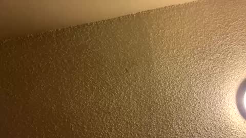 couplebroad_ online show from March 2025 06:48:02 AM