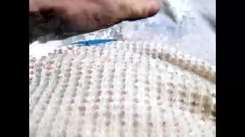 Snapshot of cowboyup696969723295 chatting on February 2026 05:33:02 AM cowboyup696969723295 online show from February 2026 05:33:02 AM