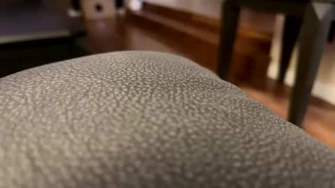 Snapshot of cranada777 chatting on February 2026 01:49:01 AM Cranada777 online show from February 2026 01:49:01 AM